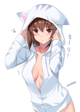 ガールズ&パンツァーの画像フォルダを公開する！