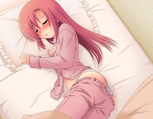 【22枚】 ハヤテのごとく！のヒナギクのエッチな二次元画像下さい！