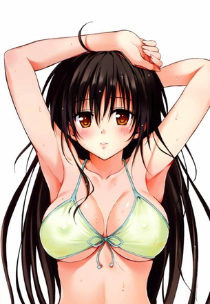 【画像】『ToLOVEる』古手川唯とかいうムッツリハレンチエロボディJKwwwwww