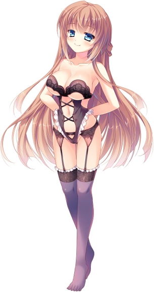 ガーターベルトの二次エロ画像