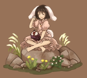 【1月4日は石の日】東方キャラと石の画像 50枚