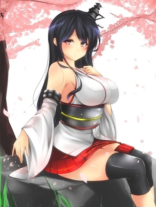 扶桑の画像 その2 50枚