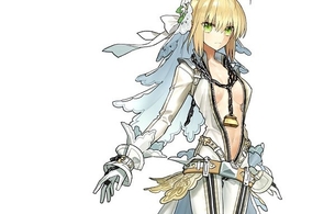 スイッチ版『フェイト/エクステラ』ネロがおっぱい丸見せでさらにエロくなってるエロ衣装！