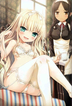 メイドのエッチな画像見たいよね？