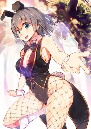 【二次】バニーガールのスケスケ網タイツエロすぎィ！！【エロ画像】