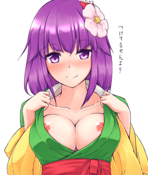 東方エロ画像 その39 50枚