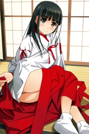 【2次】巫女服姿の女の子の二次エロ画像 その12【巫女さん】