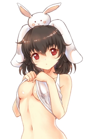 東方画像色々 その96 50枚