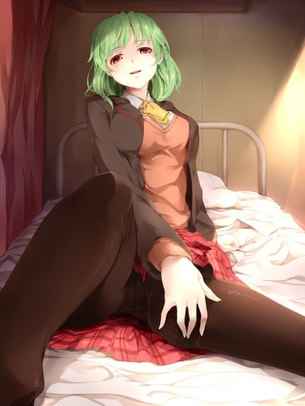 【5月15日はストッキングの日】東方キャラのパンスト画像 89枚
