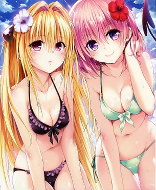 【画像】最近の『ToLOVEる』のおまんまんの表現が天才的にエロいwwwwwww