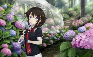 時雨と雨の画像 50枚