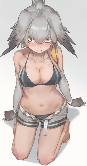 【けものフレンズ】ハシビロコウのエロ＆萌え画像まとめ！