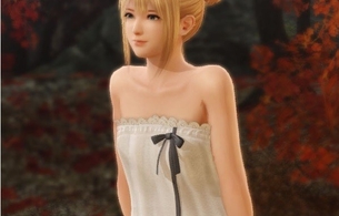 『無双☆スターズ』限定版特典の女の子たちがエロい全裸のエロい布ポスター全員分！