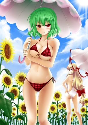 東方画像色々 その33 50枚