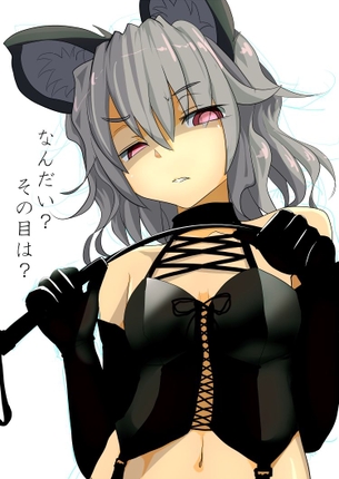 東方キャラがムチを持っている画像 50枚