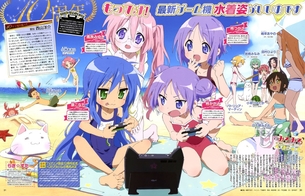 『らき☆すた』『魔法科高校の劣等生』『フェイト/ステイナイト』『アポクリファ』など版権イラスト