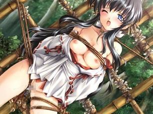 【巫女服50枚】巫女さんの二次エロ画像グリぐり！ part19