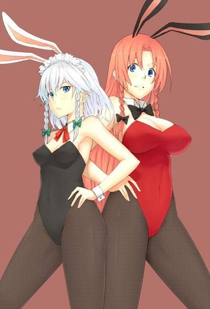 バニーガールの二次画像がヌけすぎてこまる件について