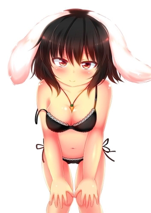 【2月12日はブラジャーの日】東方黒ブラ画像 50枚