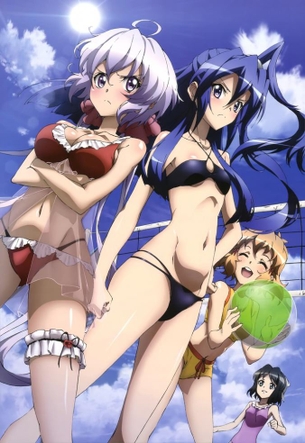 風鳴翼 戦姫絶唱シンフォギア