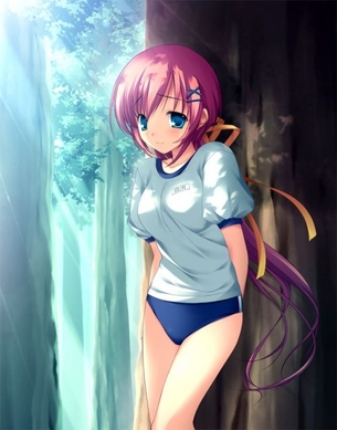 体操服・ブルマの魅力についてエロ画像で検証