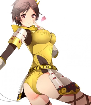 戦国無双2