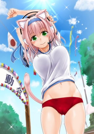 体操服・ブルマがエロくてたまんないので画像を収集してきた
