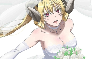 アニメ『sin 七つの大罪』BD/DVD服が破けて脱げるエロジャケットにエロ店舗特典イラスト
