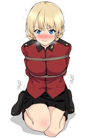 ガールズ&パンツァーの抜けるエロ画像まとめ！