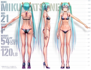 ボーカロイドのよさを再確認できるエロ画像