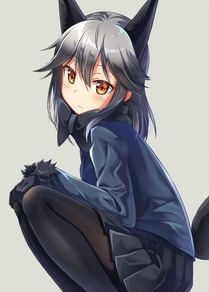けものフレンズの二次フェチ画像。