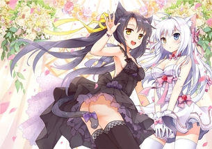 美少女たくさんな二次元画像詰め合わせ。 vol.78