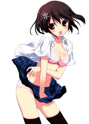 ニーソの二次エロ画像で抜きたい！