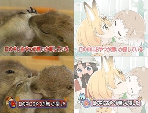 【二次・ZIP】美少女達のけしからん百合レズ2次画像