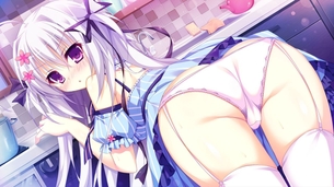 ガーターベルトの二次エロ画像