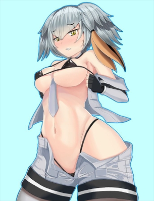 【けものフレンズ】ハシビロコウの二次元エロ画像。