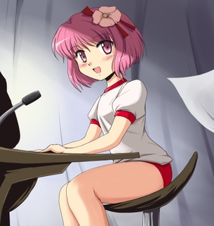 ブルマのエロ＆萌え画像まとめ！