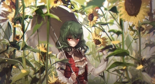 東方壁紙画像 その148 50枚