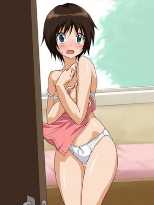 脱ぎかけの二次エロ画像を愛でる。