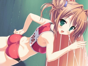 ブルマのエロ画像なんです！