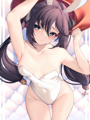 バニーガールの二次エロ画像を愛でる。