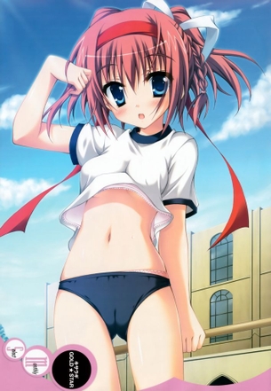 エロ画像】ブルマ・体操着のエロ画像　ブルマは気をつけないとパンツはみ出してるからな