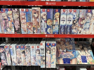 【朗報】Switchさん、エロゲーハードになる