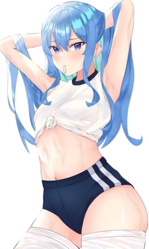 【画像あり】星街すいせいの衝撃画像が流出！？(バーチャルyoutuber)