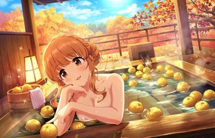 【二次】剥ぎコラ・脱ぎコラ・エロコラの画像まとめ その48【45枚】