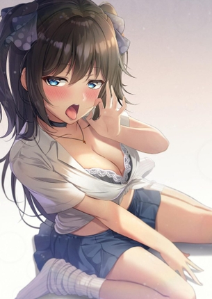 フェラチオの二次エロ画像を愛でる。