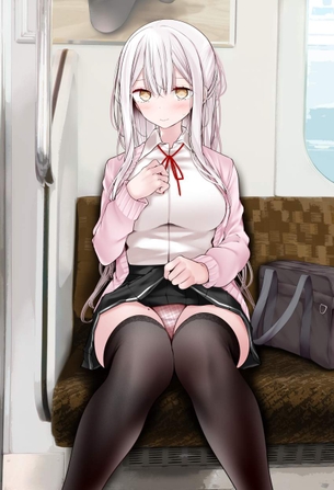 電車のエロ画像