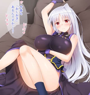 魔法少女リリカルなのは【リインフォース】のエロ画像