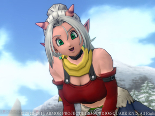 【画像】ドラクエ10のキャラめちゃくちゃエロいのに何でお前らプレイしないの？