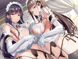 【二次エロ】もはやメイド服ではないドスケベ衣装の女の子の二次エロ画像 その21